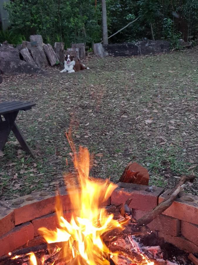 Buderim Forest Hideaway Dış mekan fotoğraf
